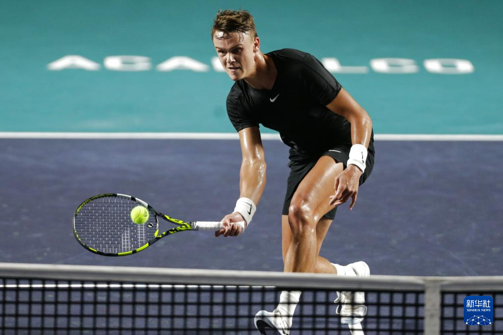 总是试图呈 总是试图呈