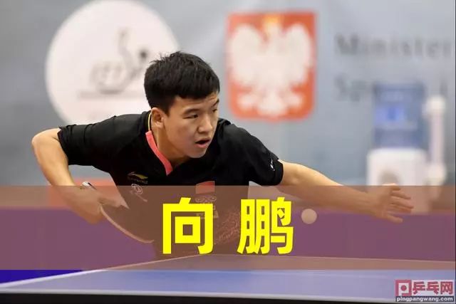 再次赢得 再次赢得